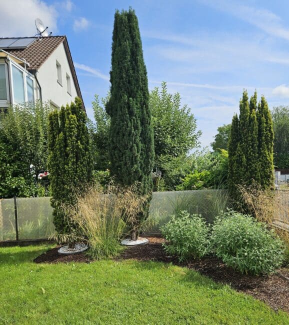 Hausmeisterservice Mainflingen