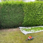 Form- und Pflegeschnitte