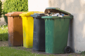 Mülltonnenservice Seligenstadt