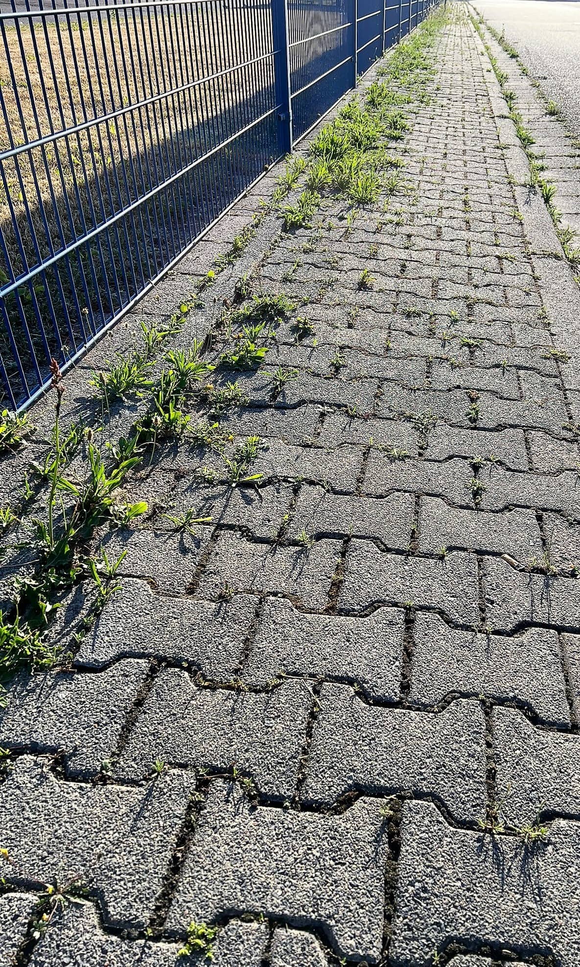 Hausmeisterservice Hainburg