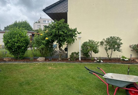 Gartenpflege im Frühling, Sommer, Herbst und Winter